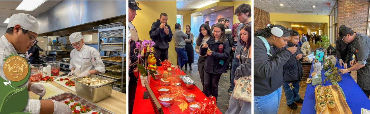 BOTC 2026_blog header