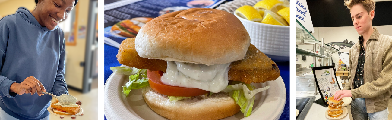 FishFilet_Blog FishFilet_Blog
