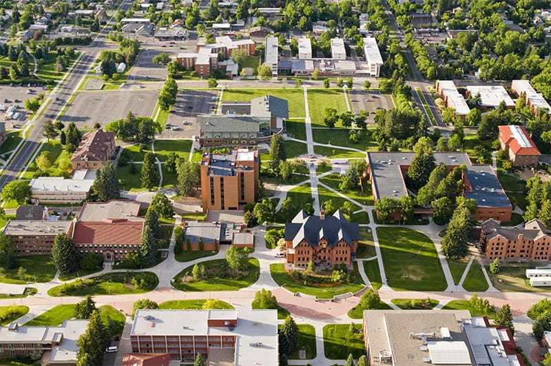 Montana State University Campus