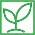 Plant Based Icon