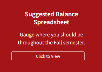 Suggetes Balance Spreadsheet Button