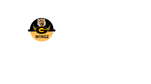g-wingz